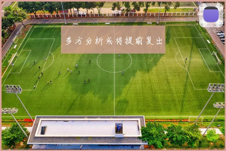 多方分析或将提前复出